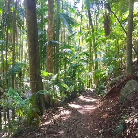 Bed and Breakfast Entire Self-Contained Cabin On The Beautiful Mountain Mount Tamborine Exterior foto