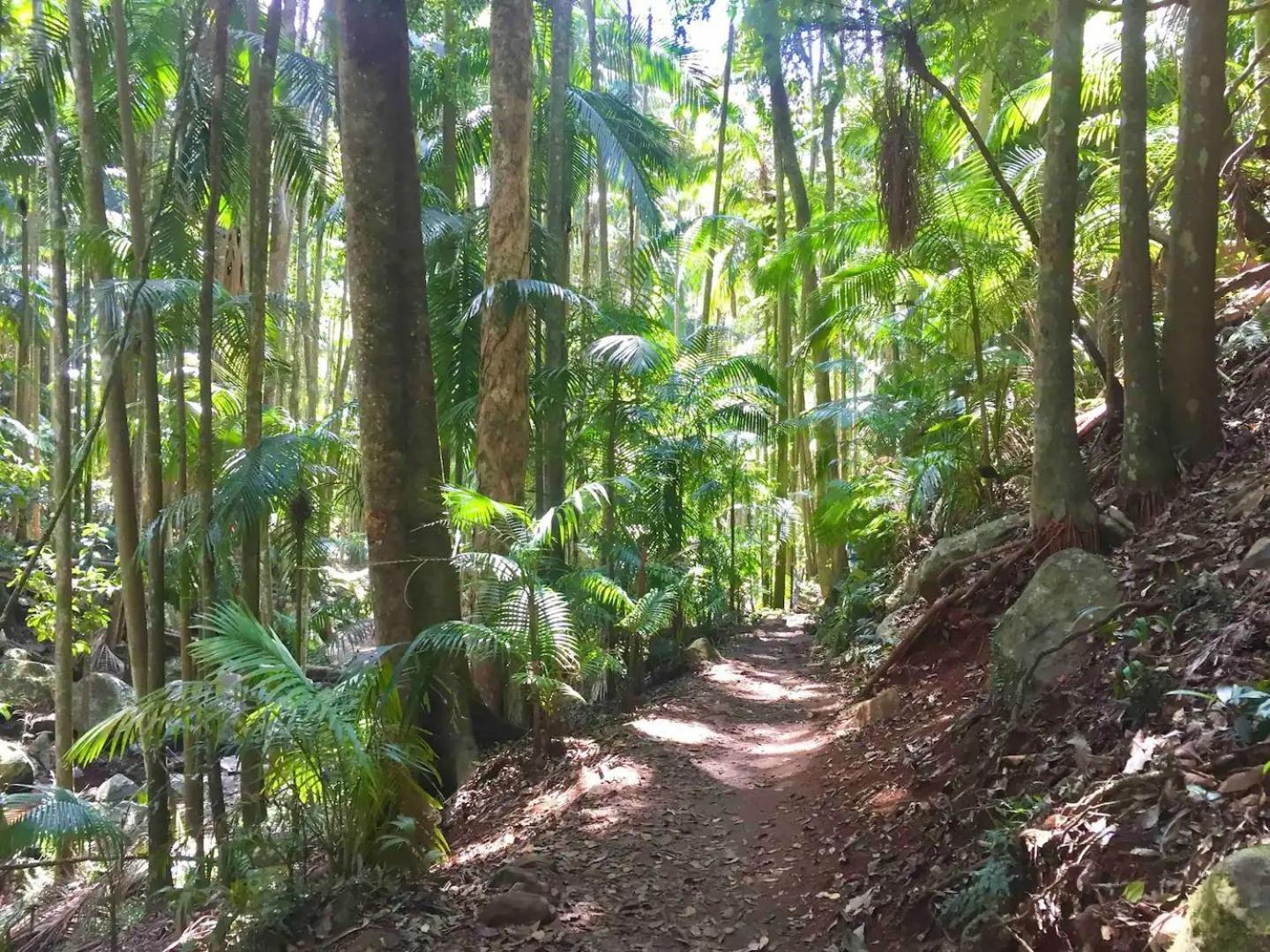 Bed and Breakfast Entire Self-Contained Cabin On The Beautiful Mountain Mount Tamborine Exterior foto